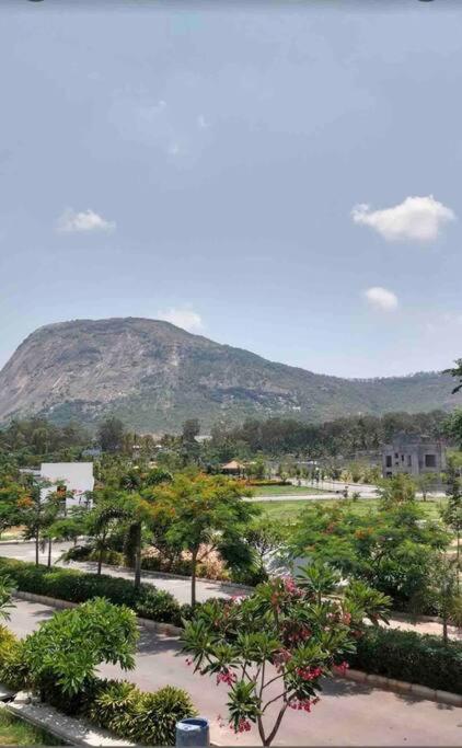 A Glass Haven , Nandi Hills Nandigunda Luaran gambar
